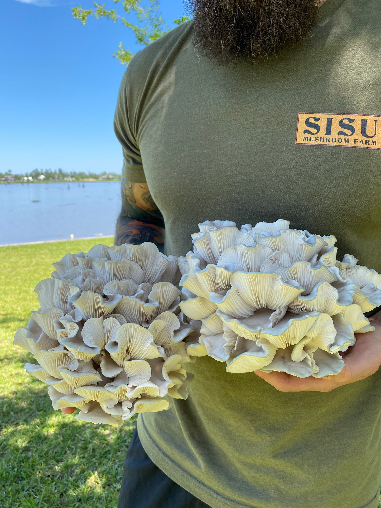 Son of a….. Watercolor Oyster Grow Kit